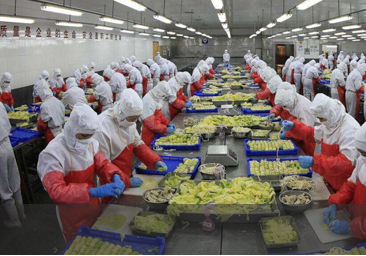 food industry